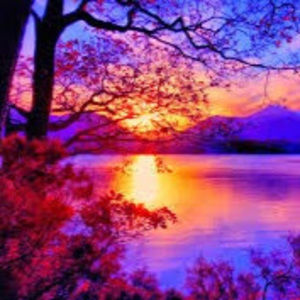 Meet your Posher, Delaney